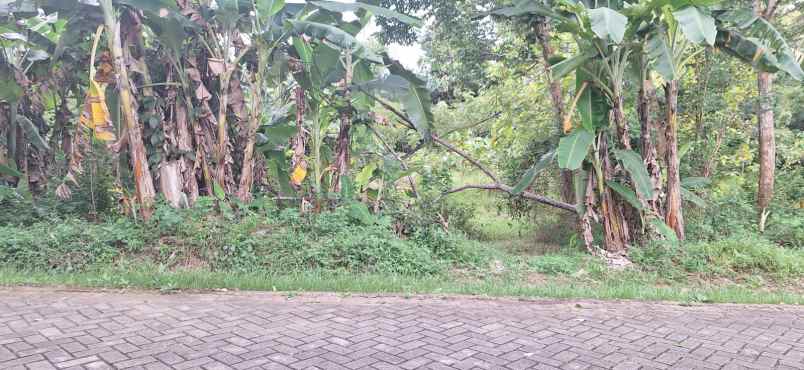 dijual tanah pogalan trenggalek jawa timur