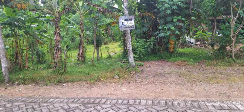 dijual tanah pogalan trenggalek jawa timur