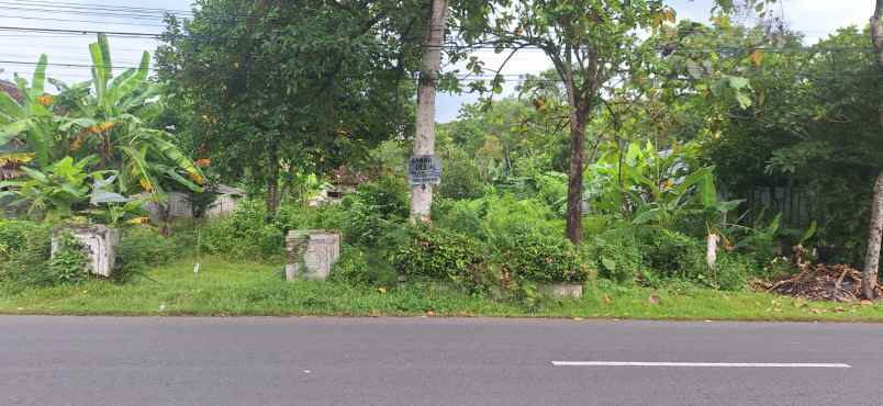 dijual tanah pogalan trenggalek jawa timur