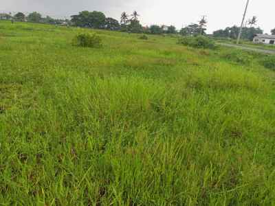 dijual tanah sawah darat mekarjaya gantar indramayu