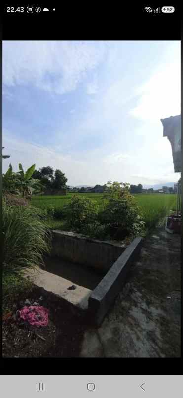 dijual tanah srimartani piyungan