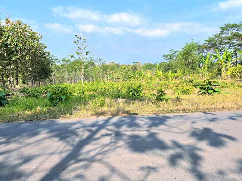 dijual tanah strategis 1 hektar kerjo karanganyar