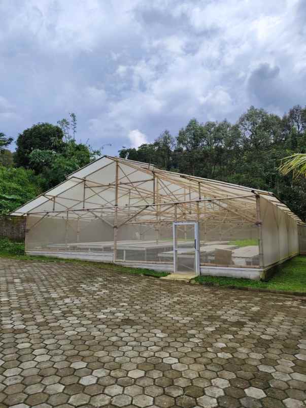 dijual tanah sukaharja kec cijeruk