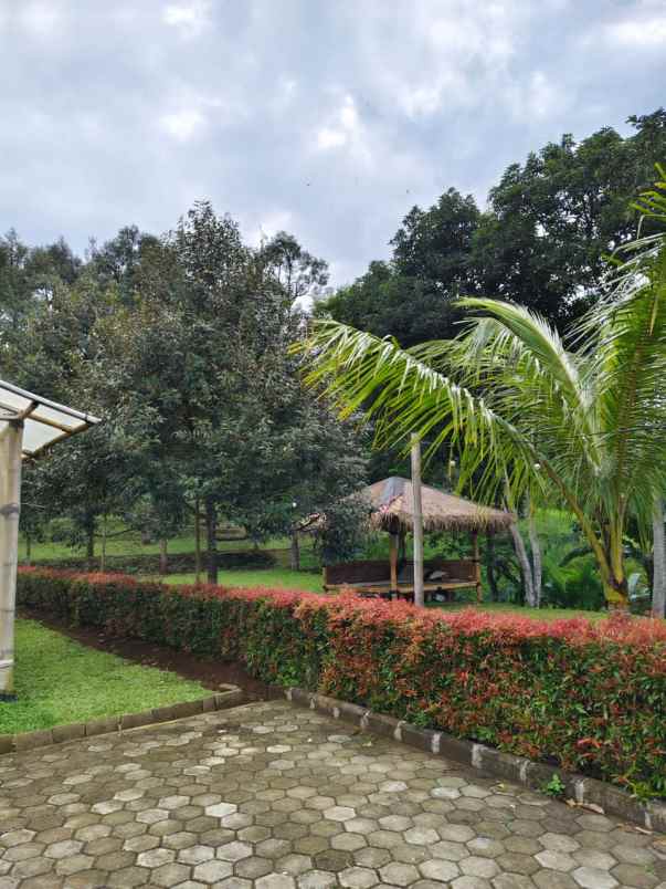 dijual tanah sukaharja kec cijeruk