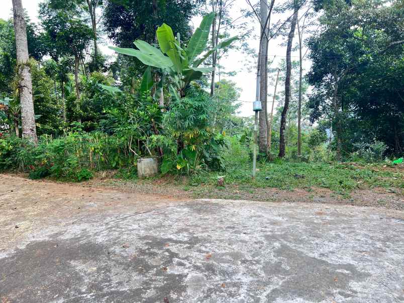 dijual tanah tawangmangu
