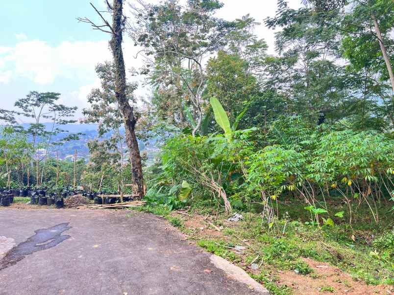 dijual tanah tawangmangu