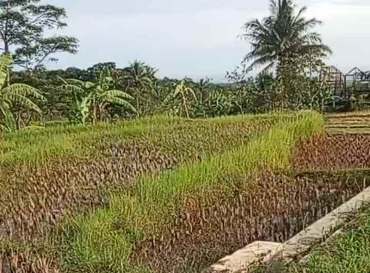 dijual tanah view gunung pinggir jalan