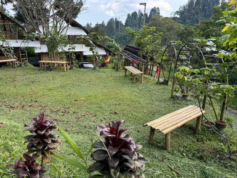 disewakan villa villa triple a saung bambu