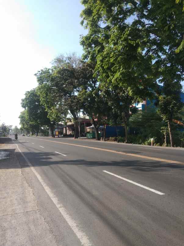 jual cepat tanah 0 jalan propinsi 20 x 40