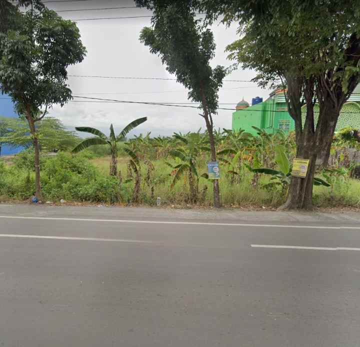 jual cepat tanah 0 jalan propinsi 20 x 40