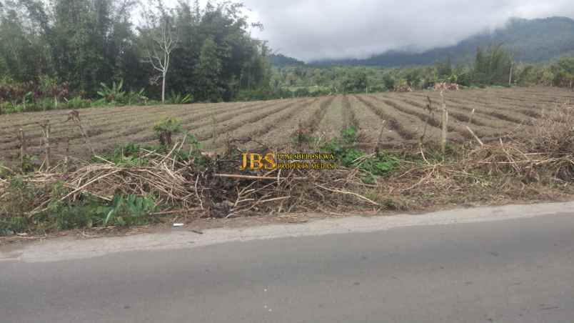 jual tanah kosong di daerah tanjung barus berastagi