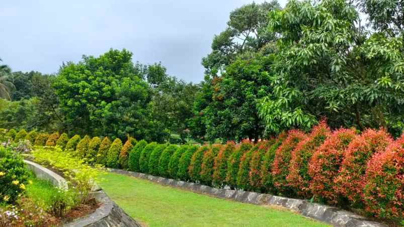 rumah cimanggis bojonggede bogor