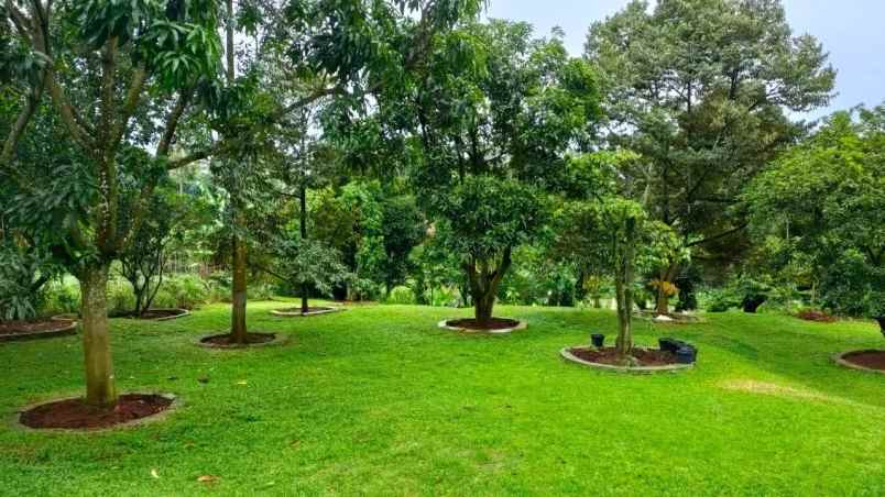 rumah cimanggis bojonggede bogor