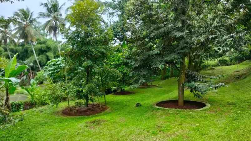 rumah cimanggis bojonggede bogor