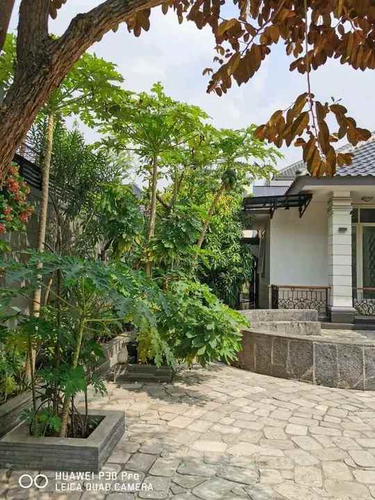 rumah mewah swimming pool pondok labu south jakarta