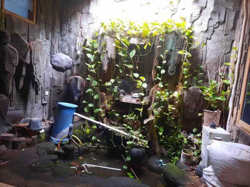 rumah utan panjang