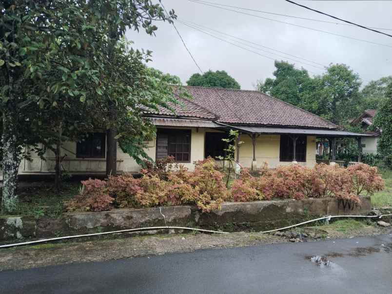 tanah bangunan rumah jalan cagak subang