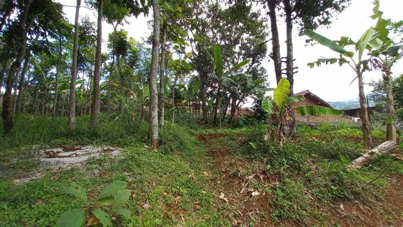 tanah cimenyan padasuka