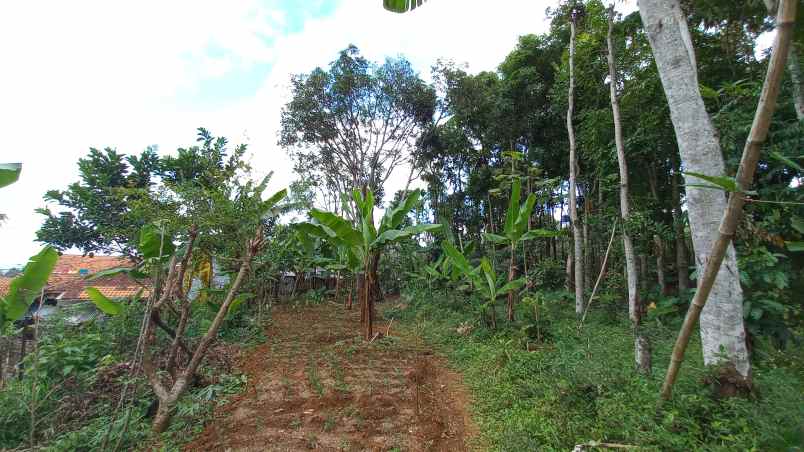 tanah cimenyan padasuka