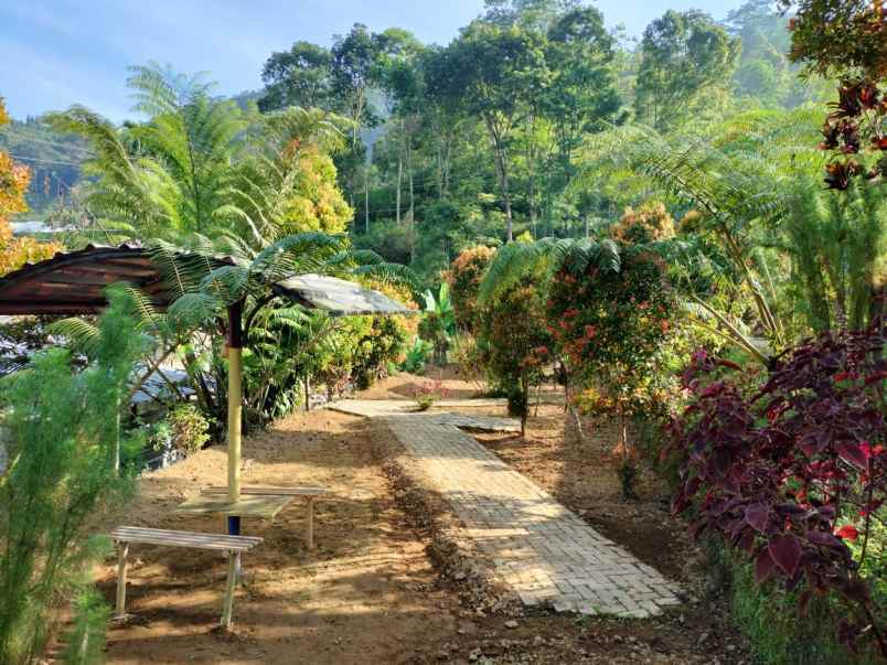 tanah cocok dibangun wisata kemuning karanganyar solo