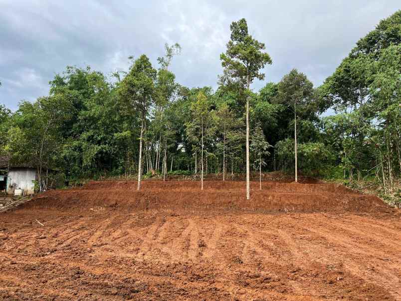 tanah datar 2305m selatan kantor kecamatan kerjo