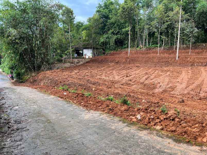 tanah datar 2305m selatan kantor kecamatan kerjo