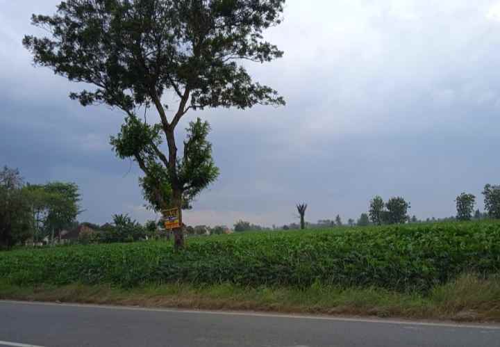 tanah di jalan lintas sumatera lampung tengah