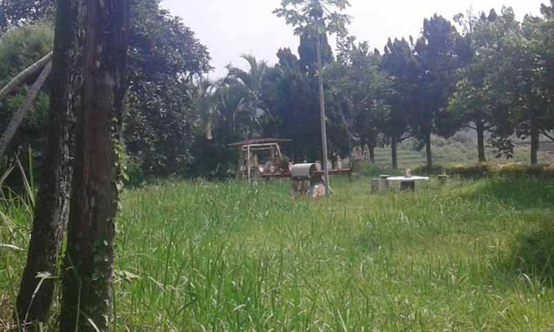 tanah di pacet mojokerto murah di bawah harga pasar