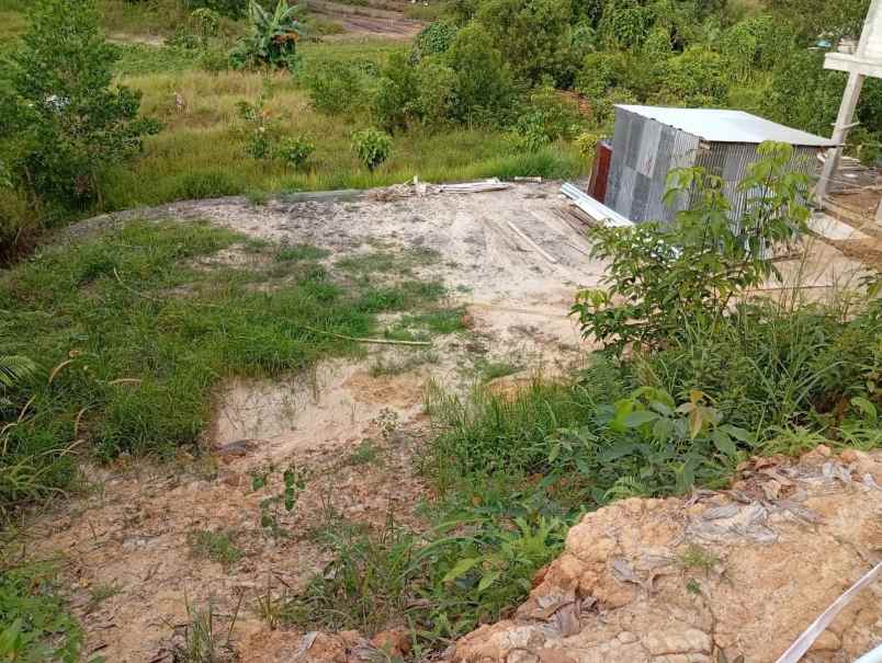 tanah dijual 300m2 sepinggan