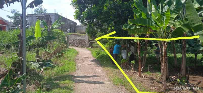 tanah jl ciherang dramaga bogor