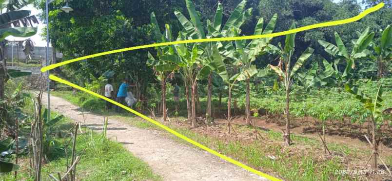 tanah jl ciherang dramaga bogor