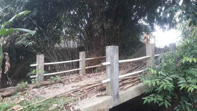 tanah jl sukahati pemda cibinong