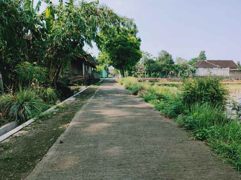 tanah karangpelem kedawung sragen