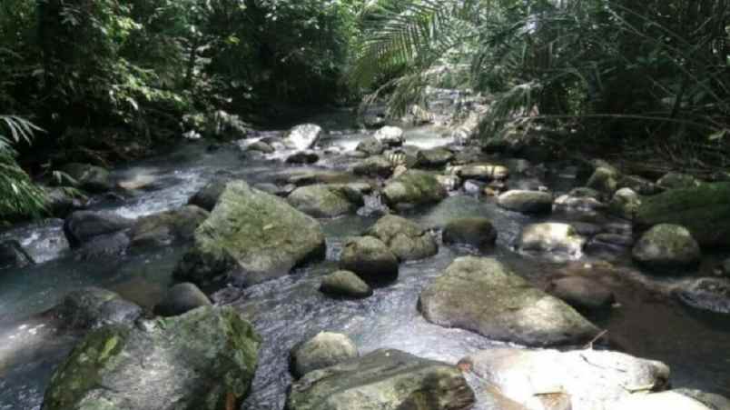 tanah kebun view sungai di wanagiri tabanan bali