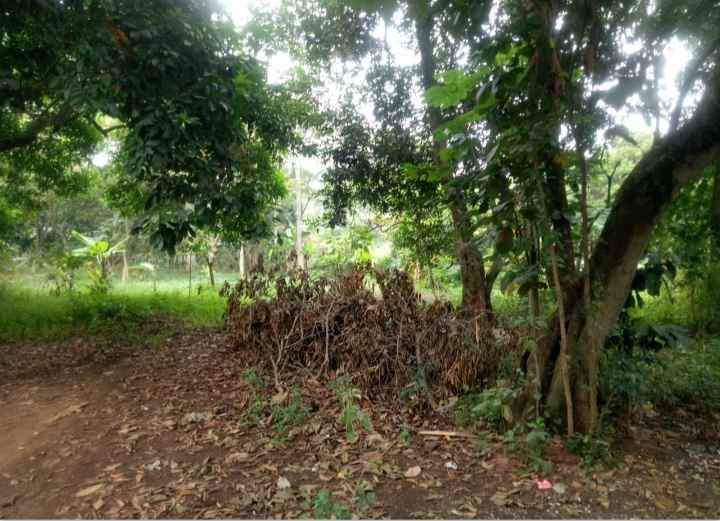 tanah komersil 3 8 hektar setu bekasi