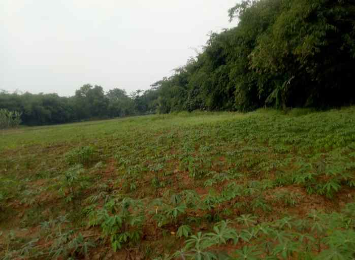 tanah komersil 3 8 hektar setu bekasi