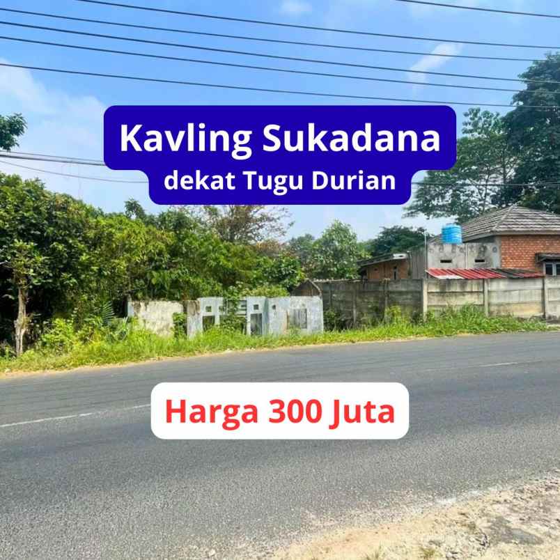 tanah lampung pinggir jalan sukadanaham