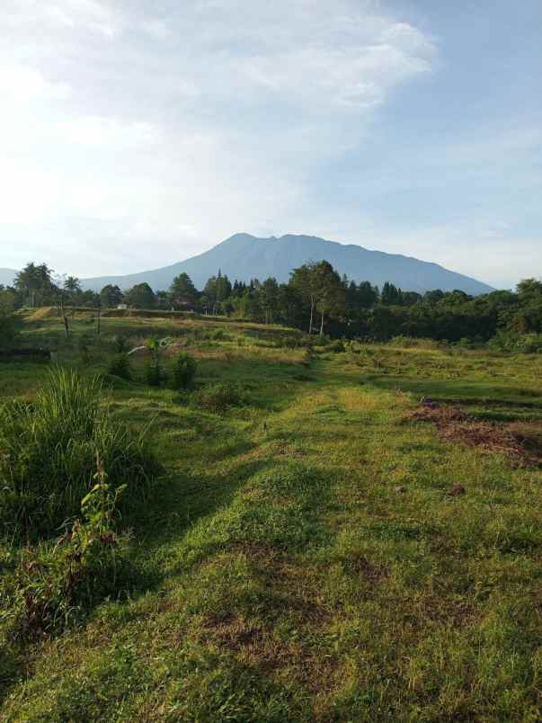 tanah megamendung cisarua puncak