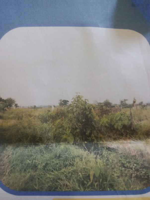 tanah murah bekas kolam