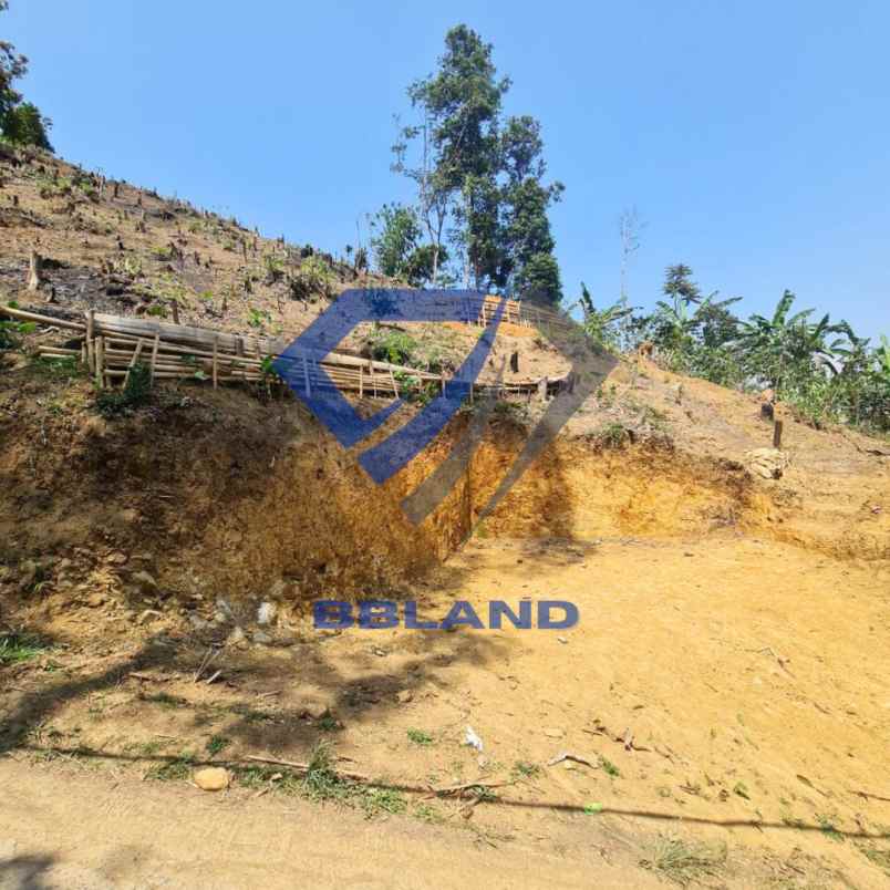 tanah murah di ciwidey cocok untuk villa dan kebun