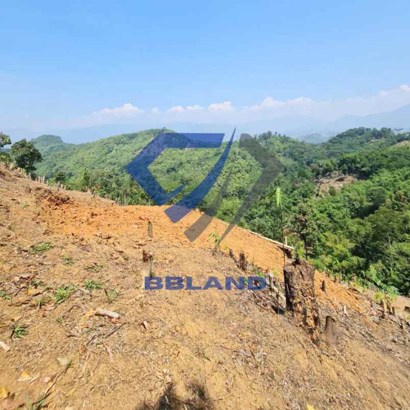 tanah murah di ciwidey cocok untuk villa dan kebun