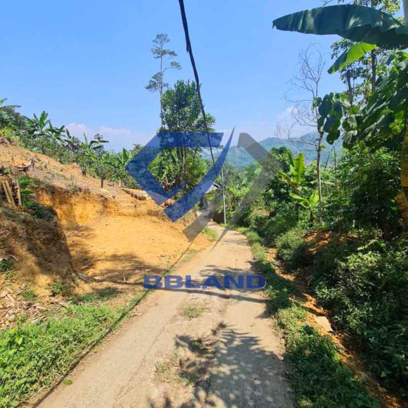 tanah murah di ciwidey cocok untuk villa dan kebun