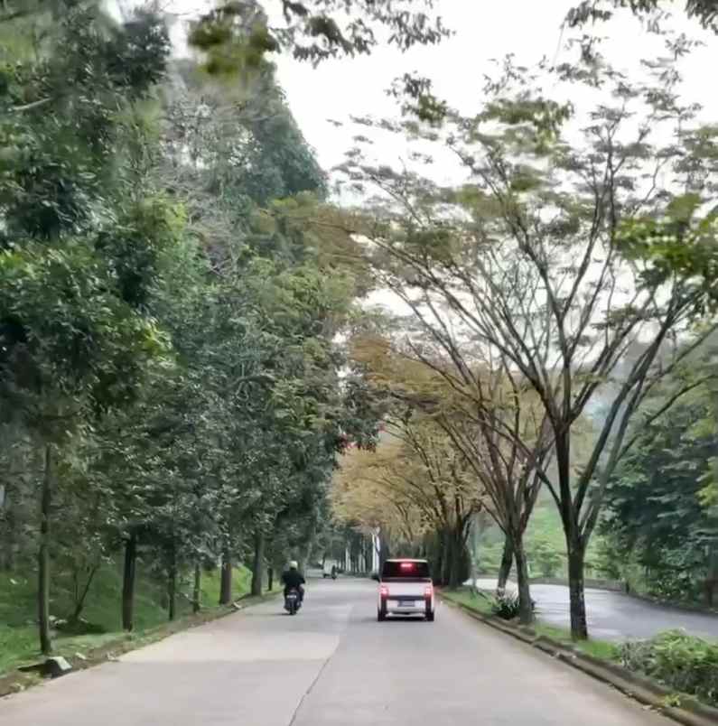 tanah murah shm dago pakar dekat binus