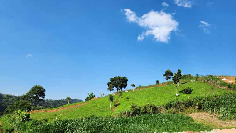 tanah murah shm dago pakar dekat binus