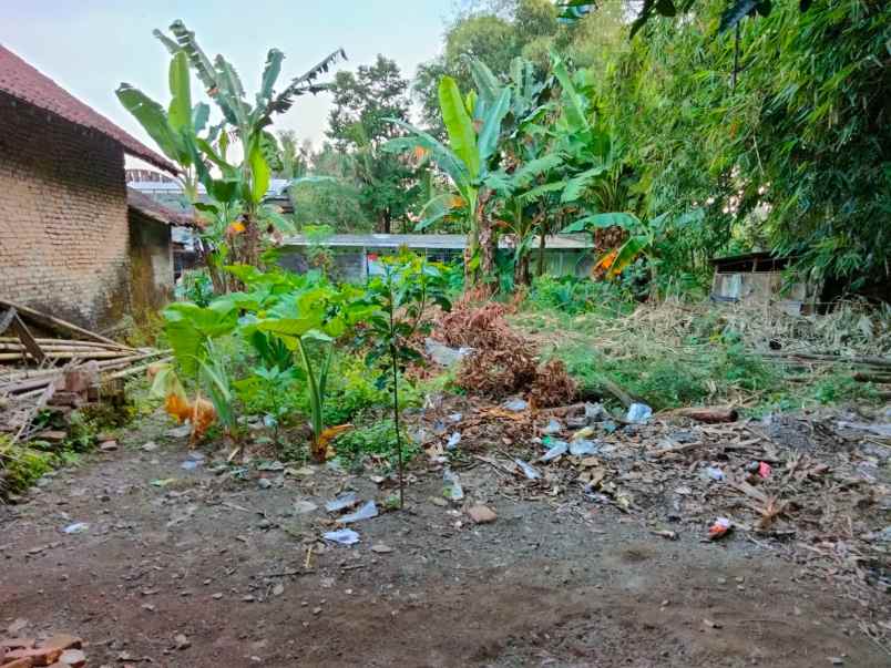 tanah pandowoharjo sleman yogyakarta