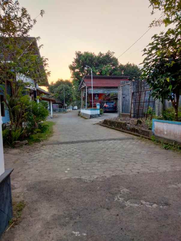 tanah pandowoharjo sleman yogyakarta