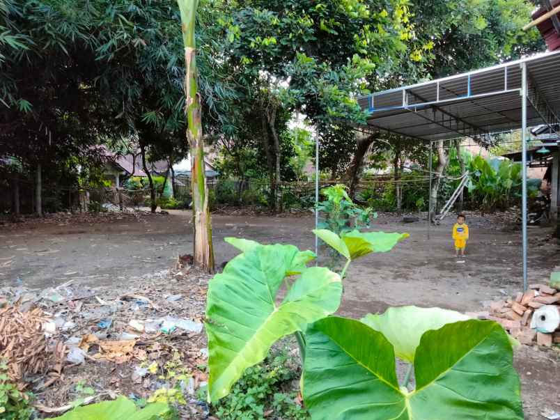 tanah pandowoharjo sleman yogyakarta