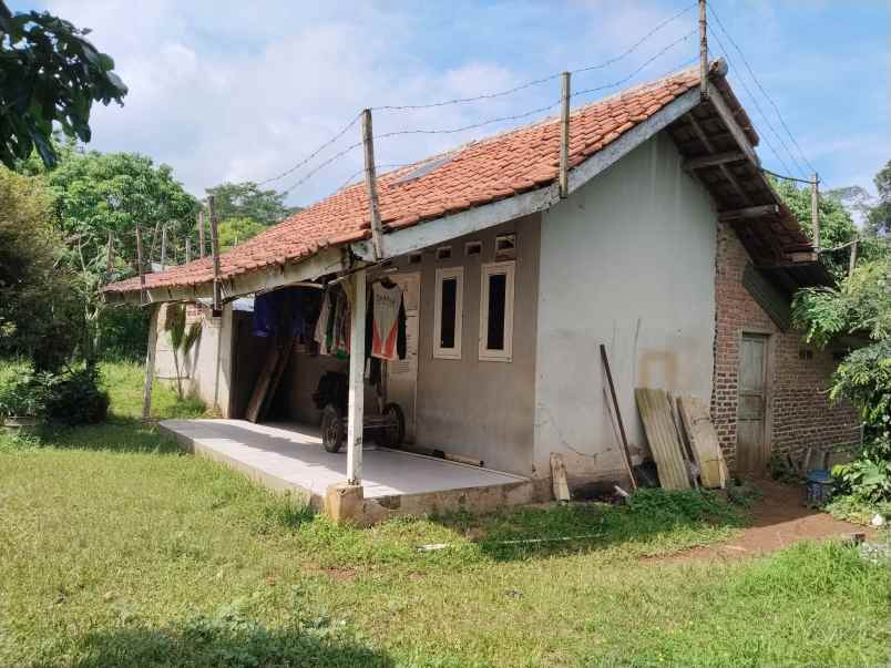 tanah perkebunan lengkeng cijambe subang jawa barat