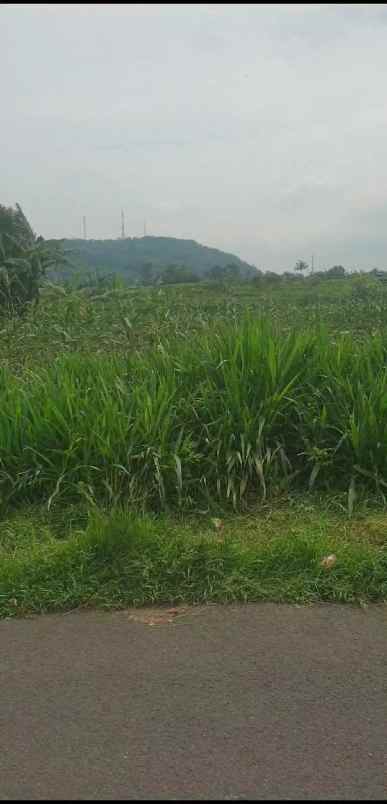 tanah strategis dekat kawasan wisata