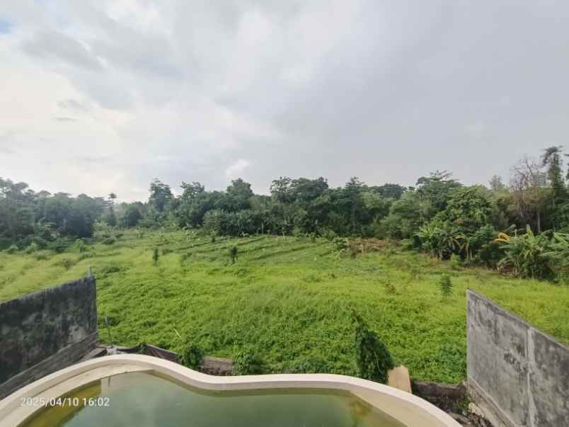 tanah view sawah dekat canggu dan tanah lot bali